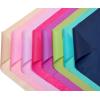 American Greetings 40 Sheet 20 in. x 20 in. Pastel Tissue Paper for Graduation, Birthdays and All Occasions(Jewel Tone Multi-Colored)