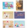 American Greetings Premium All Occasion Cards, Wedding, Birthday, Congrats, Baby, Thank You (24-Count)(Wedding  Birthday  Congratulations  Friendship  Sympathy  Baby Shower  Thank You)