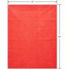 American Greetings Tissue Paper for Christmas, Holidays, and Special Occasions, Pink (6-Sheets)(Cherry Red)