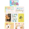 imageAmerican Greetings Premium All Occasion Cards Wedding Birthday Congrats Baby Thank You 24CountContemporary Designs