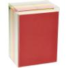 American Greetings Single Panel Blank Cards with Envelopes, Neon Rainbow Colors (100-Count)(Earthtones)