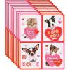 American Greetings Valentines Stickers for Kids, Unicorn (40-Count)(Puppies and Kittens)