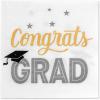 imageAmerican Greetings Graduation Party Supplies Paper Napkins 50Count