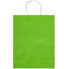 American Greetings 10″ Medium Gift Bags, Rainbow Solids (12-Count)(Large Gift Bags  Rainbow Solids)