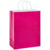 American Greetings 10″ Medium Gift Bags, Rainbow Solids (12-Count)(Large Gift Bags  Rainbow Solids)