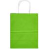 American Greetings 10″ Medium Gift Bags, Rainbow Solids (12-Count)(Medium Gift Bags  Rainbow Solids)