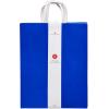American Greetings 10″ Medium Gift Bags, Rainbow Solids (12-Count)(Medium Size)