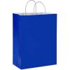 American Greetings 10″ Medium Gift Bags, Rainbow Solids (12-Count)(Medium Size)