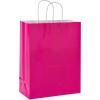 American Greetings 10″ Medium Gift Bags, Rainbow Solids (12-Count)(Multicolored)