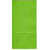 American Greetings 10″ Medium Gift Bags, Rainbow Solids (12-Count)(Rainbow Solids)