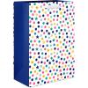 American Greetings 13″ Large Kids Gift Bags, All Occasions, Designed by Allison Black (3 Bags)(MD BAG BNDL TEACHER BRIGHT 4CT)
