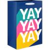 American Greetings 13″ Large Kids Gift Bags, All Occasions, Designed by Allison Black (3 Bags)(MD BAG BNDL TEACHER BRIGHT 4CT)