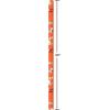 American Greetings 40 sq. ft. Reversible Kids Wrapping Paper for Birthdays, Designed by Allison Black (1 Roll, 30 in. x 192 in.)(SR3040SQ PR FSC ALISNBLK BDDOG)