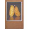 American Greetings Anniversary Card for Husband, Wife, Boyfriend, Girlfriend or Significant Other (To The One My Heart Loves Best)(Nuts About You)