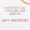American Greetings Anniversary Card for Wife from Wife (The Best Wife)(The Best Wife)