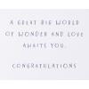 American Greetings Baby Girl Card (Lifetime of Love)(World of Wonder)