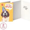 American Greetings Birthday Cards, Bold Birthday Designs (48-Count)(Kids Birthday Cards Bundle)