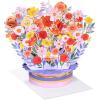 American Greetings Displayable Pop Up Thinking of You Card with Envelope (Being Exactly You)(Evdy SAP KD Platform Base Flor)