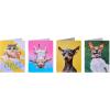 American Greetings Funny Blank Cards with Envelopes for All Occasions, Dogs & Cats (48-Count)(Dogs & Cats)