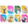 American Greetings Funny Blank Cards with Envelopes for All Occasions, Dogs & Cats (48-Count)(Dogs & Cats)