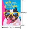 American Greetings Funny Blank Cards with Envelopes for All Occasions, Dogs & Cats (48-Count)(Dogs & Cats)