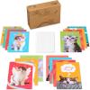 American Greetings Funny Blank Cards with Envelopes for All Occasions, Dogs & Cats (48-Count)(Funny Cats)