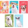 American Greetings Funny Blank Cards with Envelopes for All Occasions, Dogs & Cats (48-Count)(Funny Dogs)