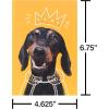 American Greetings Funny Blank Cards with Envelopes for All Occasions, Dogs & Cats (48-Count)(Funny Dogs)