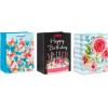 American Greetings Gift Bags For Her For Birthdays, Weddings, Bridal Showers, Baby Showers And All Occasions (6 Bags, 3 Medium 10″ and 3 Large 13″)(All Occasion and Birthday Gift Bags for Her Bundle)