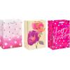 American Greetings Gift Bags For Her For Birthdays, Weddings, Bridal Showers, Baby Showers And All Occasions (6 Bags, 3 Medium 10″ and 3 Large 13″)(All Occasion and Birthday Gift Bags for Her Bundle)
