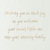 American Greetings New Baby Card (New Bundle of Adorable)(Your Amazing Family)