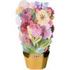 American Greetings Pop Up Birthday Card (Biggest Smile)(XL FLORAL BOUQUET)