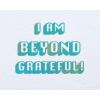 American Greetings Thank You Card (Hug)(Beyond Grateful)