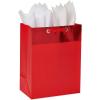 imageAmerican Greetings 13 Large Blue Gift Bag with Tissue Paper for All Occasions 1 Bag 6SheetsRed