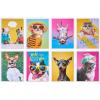 imageAmerican Greetings Funny Blank Cards with Envelopes for All Occasions Dogs ampamp Cats 48CountDogs  Cats