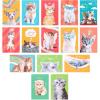 imageAmerican Greetings Funny Blank Cards with Envelopes for All Occasions Dogs ampamp Cats 48CountFunny Cats