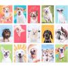 imageAmerican Greetings Funny Blank Cards with Envelopes for All Occasions Dogs ampamp Cats 48CountFunny Dogs