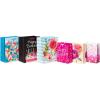 imageAmerican Greetings Gift Bags For Her For Birthdays Weddings Bridal Showers Baby Showers And All Occasions 6 Bags 3 Medium 10quot and 3 Large 13quotAll Occasion and Birthday Gift Bags for Her Bundle