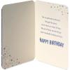 American Greetings 100th Birthday Card (Here’s To 100 Years)(Wonderful Occasion)