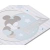 American Greetings 1st Birthday Card (Mickey Mouse)(Mickey Mouse)