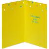 American Greetings 8-Count Graduation Card Pack (So Excited For You)(Way To Go)