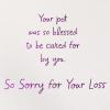 American Greetings Pet Sympathy Card (Our Animals Are Our Family)(So Blessed)