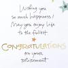 American Greetings Retirement Card (All You’ve Accomplished)(Enjoy Life)