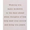 American Greetings Sympathy Card for Loss of Father (Trees)(Nothing Can Compare)