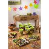 American Greetings Teenage Mutant Ninja Turtle (TMNT) Party Supplies, Paper Dessert Plates (40-Count)(Paper Dessert Plates)