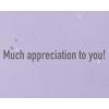 American Greetings Thank You Card (Much Appreciation)(Much Appreciation)