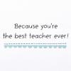 American Greetings Thank You Card for Teacher (Tireless Hero)(Best Teacher Ever!)