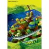 imageAmerican Greetings Teenage Mutant Ninja Turtles Party Supplies Plastic Treat Bags 8Count