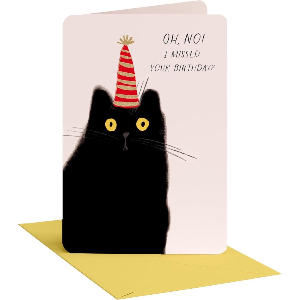 imageAmerican Greetings Belated Birthday Card I Know Its LateCat w Party Hat