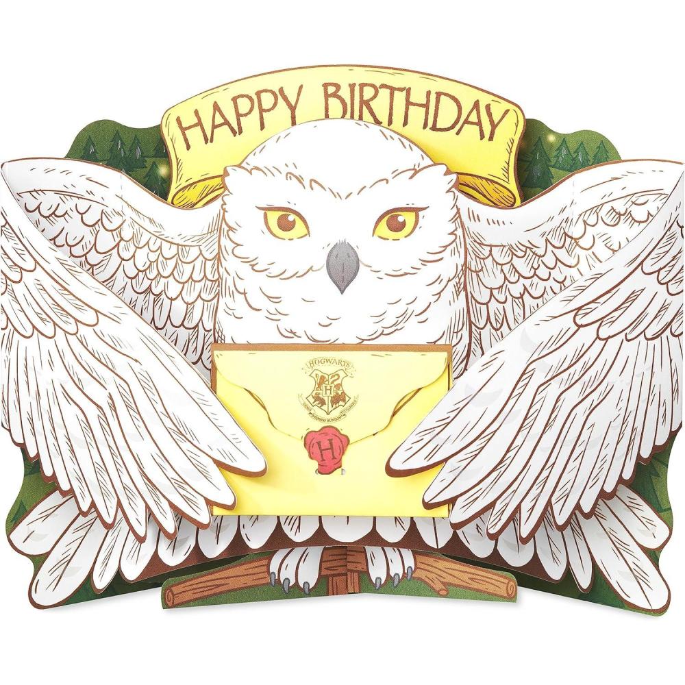 imageAmerican Greetings Pop Up Harry Potter Birthday Card QuidditchHedwig